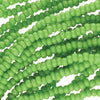 Lt Green
